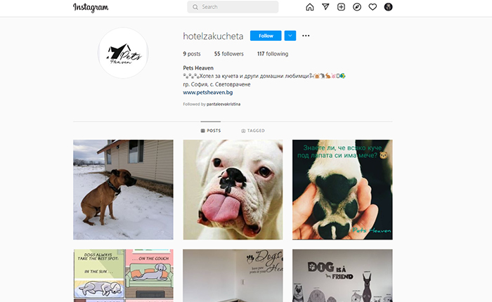 Хотел за кучета Instagram